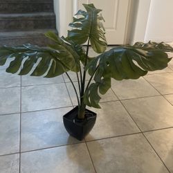 FAKE PLANT