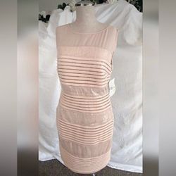 Brand New gorgeous Sangria Cream Shell dress