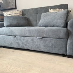 Queen Sized Pullout Couch