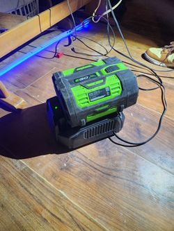 EGO Battery