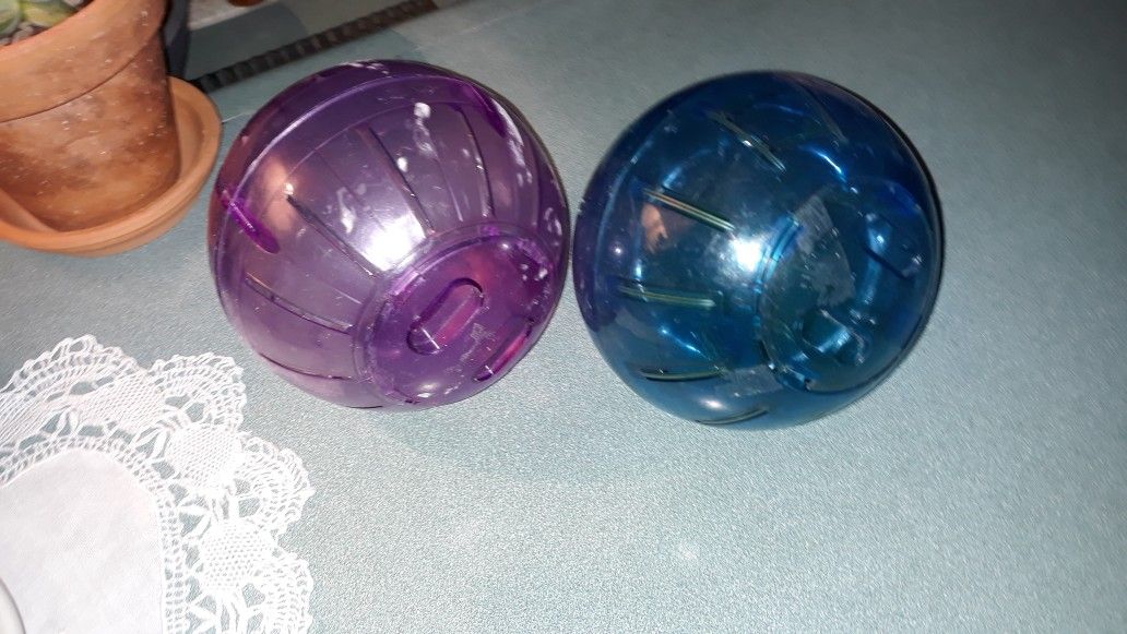 Hamster Ball