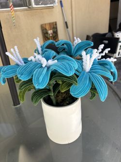 House Decor