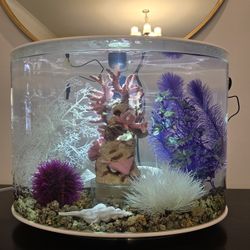 biOrb LOOP 30 Aquarium 8 Gallon with accessories