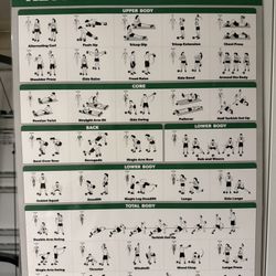 (10) - 24” x 17.5” laminated workout 🏋️ posters! 