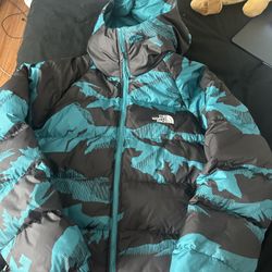 The North Face Jacket 