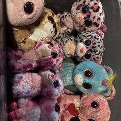 Beanie Boo Collection (taking offers)