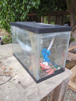 Fish tank 20 galon
