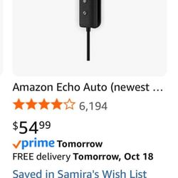 Echo Auto