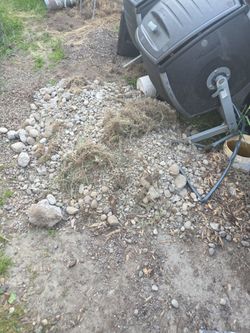 Free fill rocks about 1/2 a yard