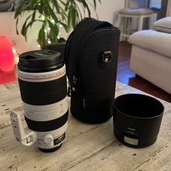 Canon EF 100-400mm/4.5-5.6L is USM Lens.