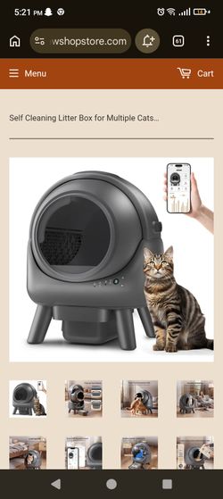 Self cleaning litter box for multiple cats