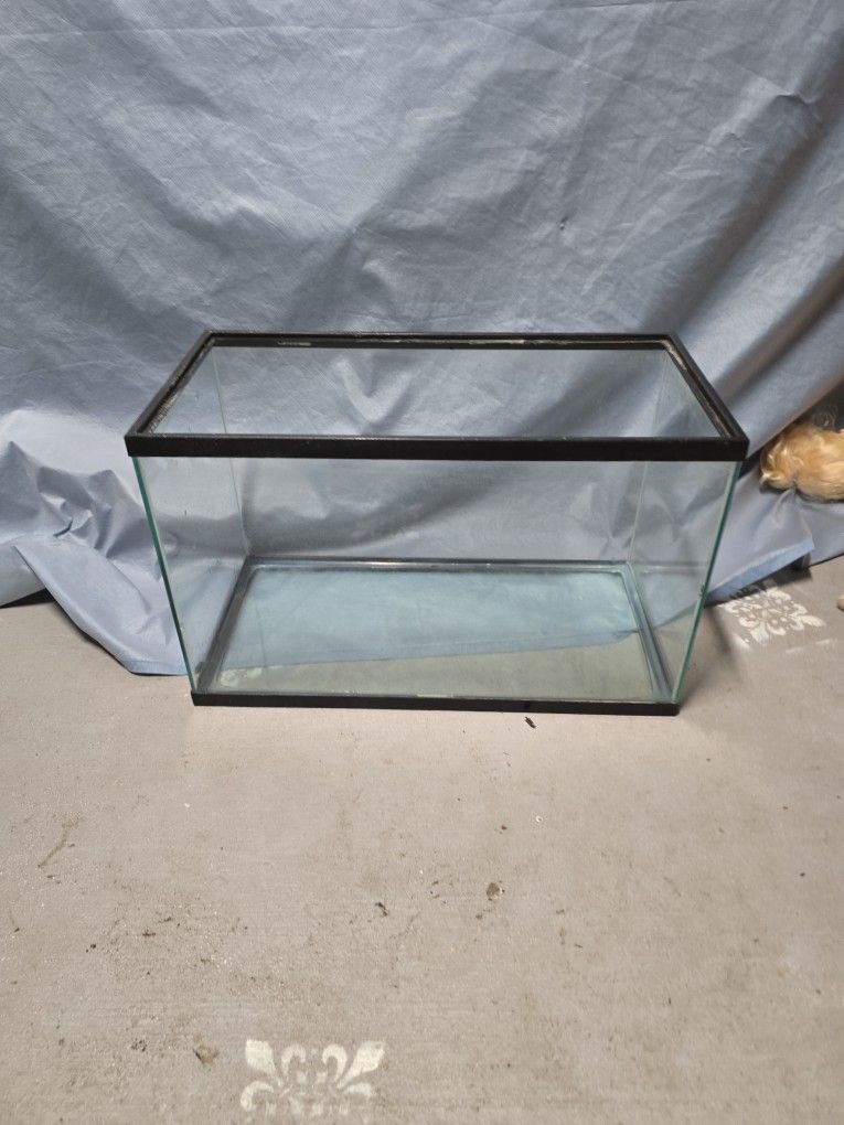 Fish Tank