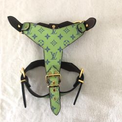 Dog Harness And Leash Set