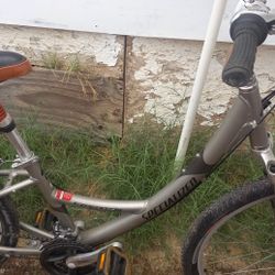 Specialized Expedition Bicycle