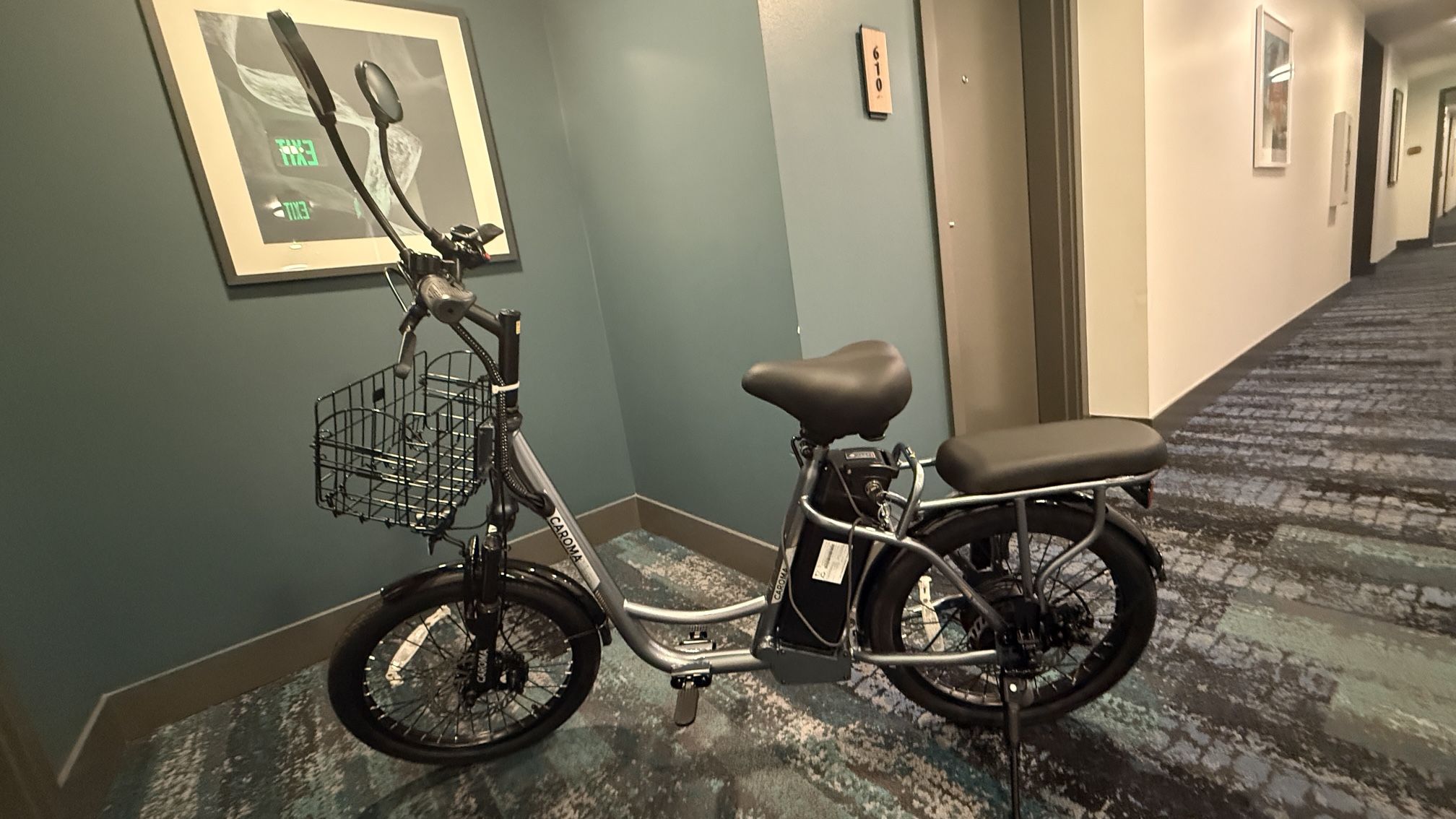 Electric Bike