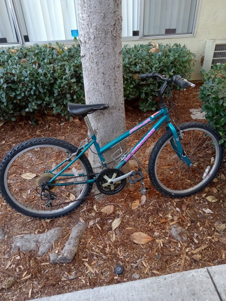 Mountain Bike 