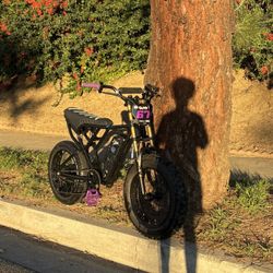 Modded Ridstar Need Gone Asap!