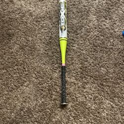 Softball Bat (worth Toxic -11)