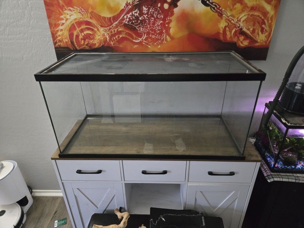 Snake Tank 50gal