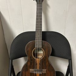 Kala Ukelele (concert)