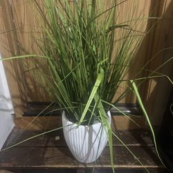 Fake Plant 
