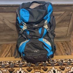 Deuter Futura Pro 40L W/ Rain Cover