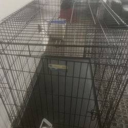 XL Dog cage