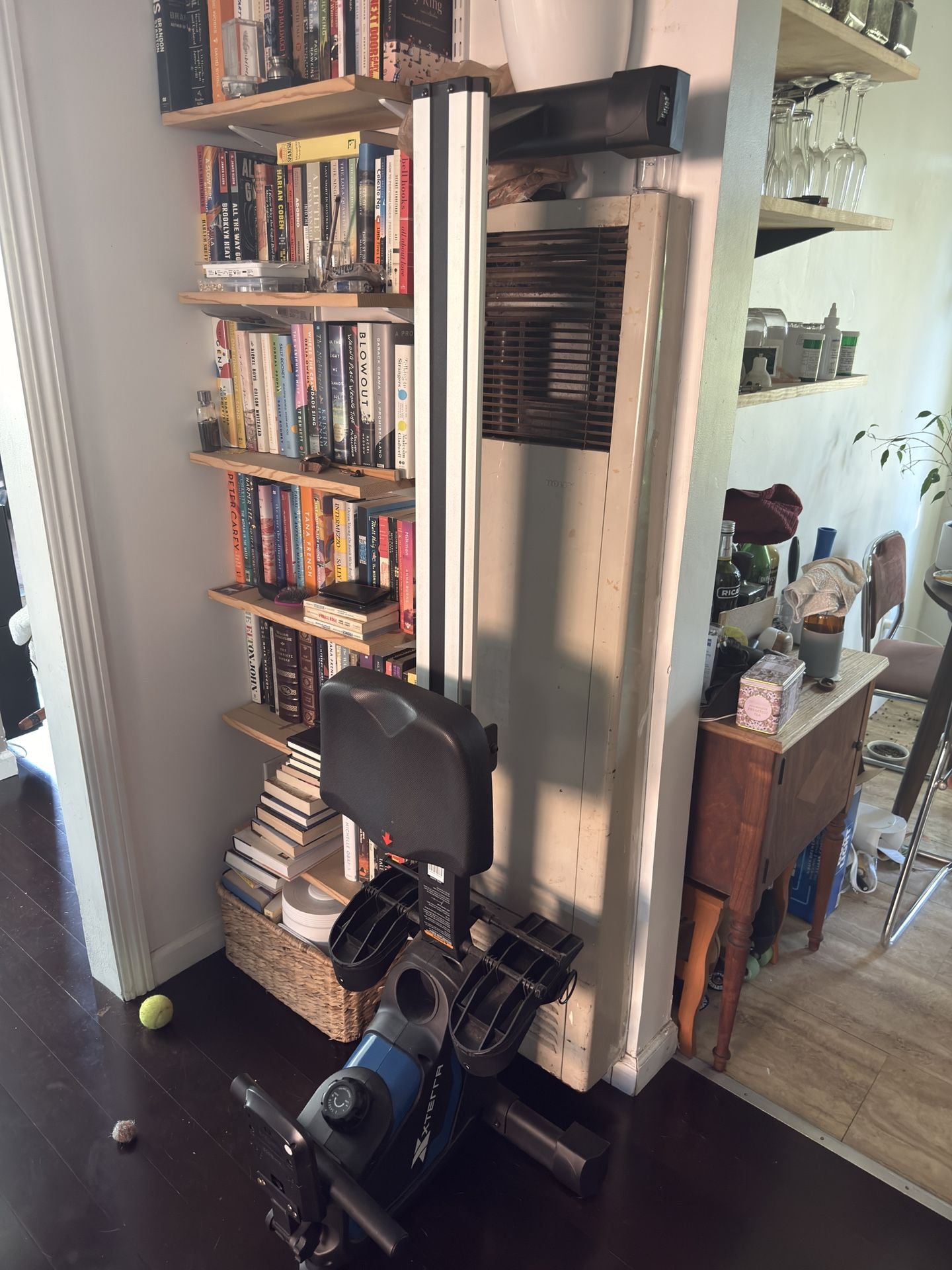 Xterra Rowing Machine 