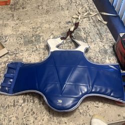 Martial Arts Reversible Sparring Chest Protector  Size 4 (L)