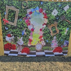Backdrops  Birthday Party 