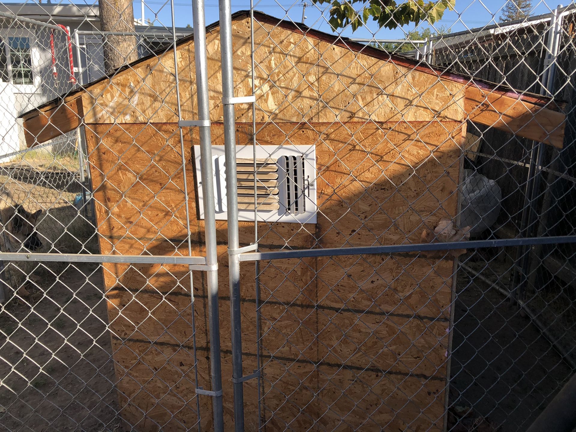 Big Dog House