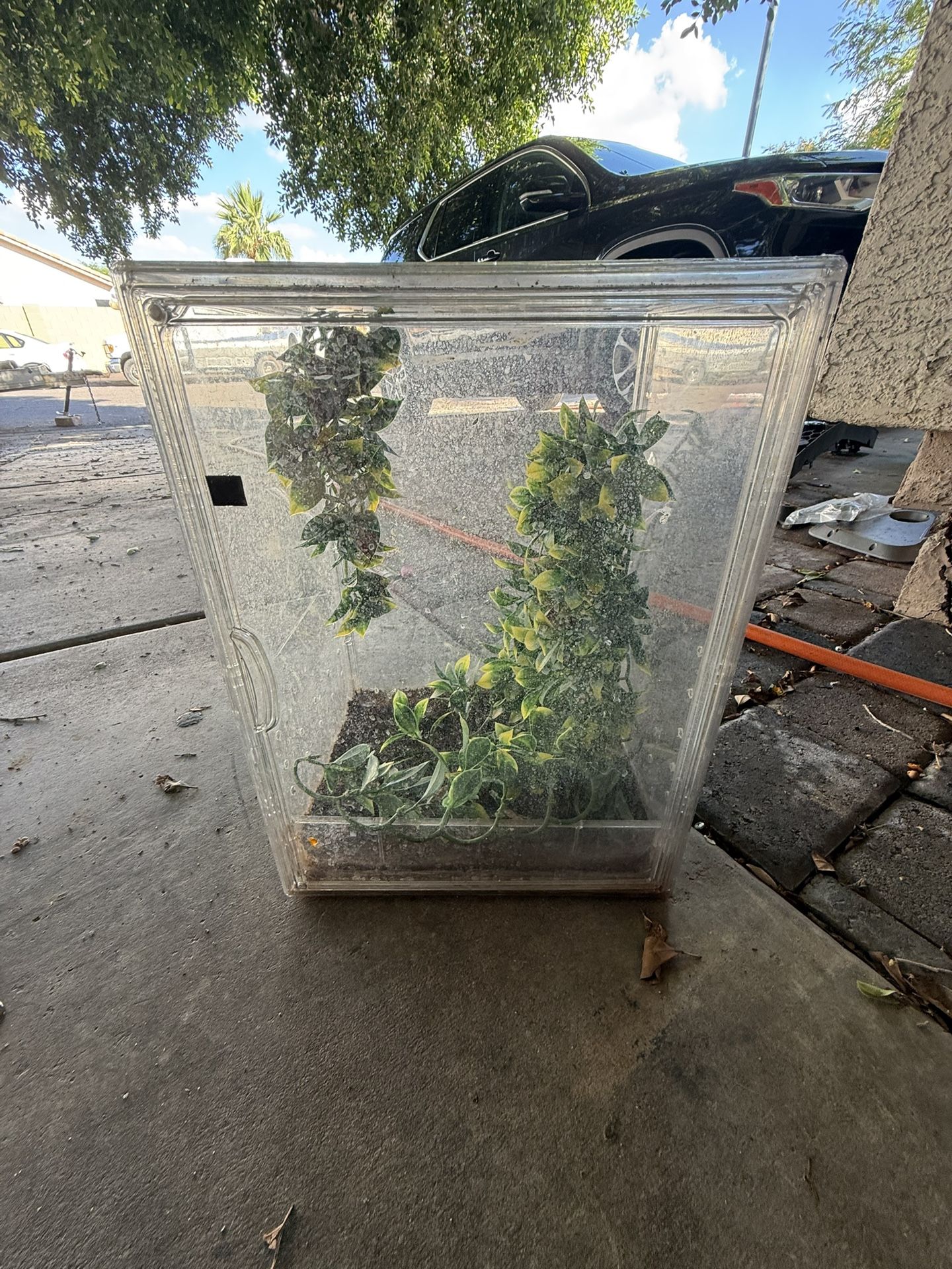 Reptile Tank