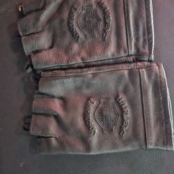 Harley Gloves Small