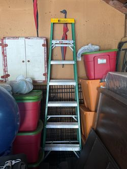 Davidson 6' ladder