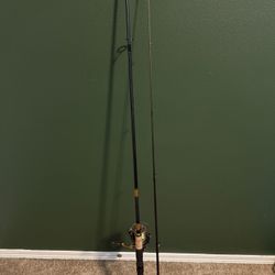 Revros 10’ Rod