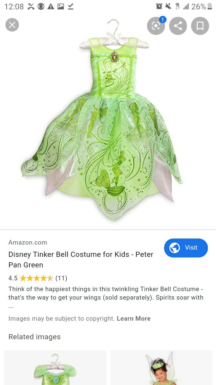 Tinker bell costume