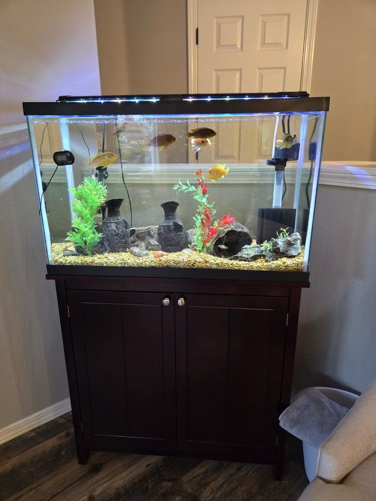 30 Gal Aquarium With Stand