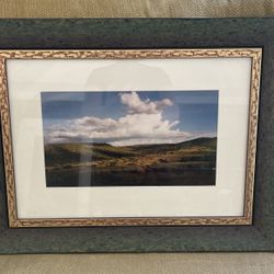 Art Framed With Tru Vue  Conservation Glass 