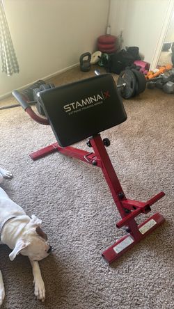 Back Extension Machine