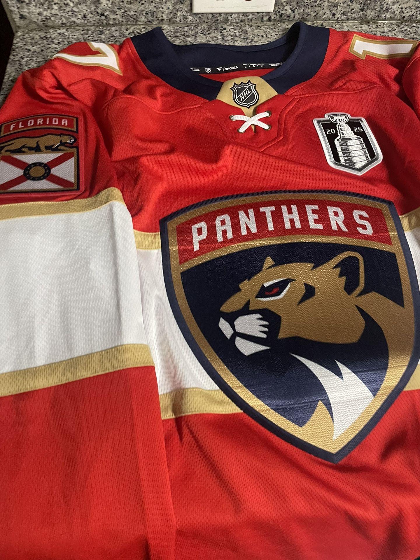 Florida Panthers LARGE.