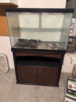 80 gallon tank