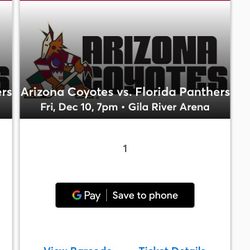 Coyotes Vs Panthers 