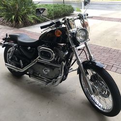 2000 sportster 883