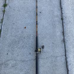 Ugly Stik Tiger rod with Reel￼