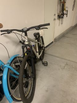 Retrospec Asent Mountain Bike