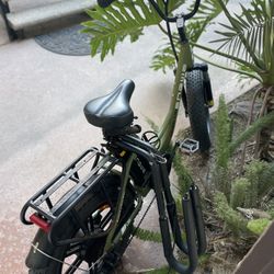 Fat Tire Ebike. Road/snow/sand ( Riders Amazing)