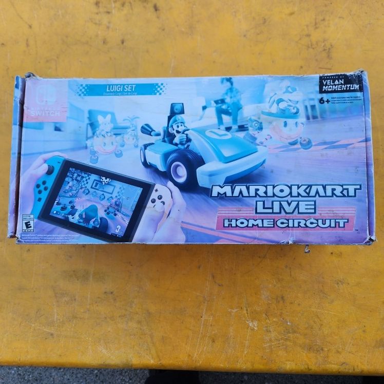 Mario Kart Live Home Circuit Luigi