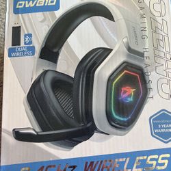 Wireless Gaming Headset