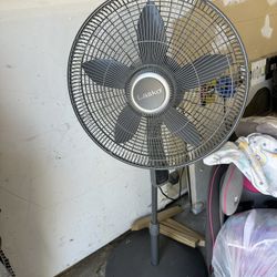 Fan