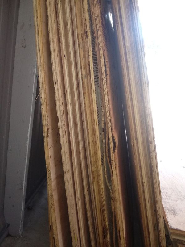 Sheet of plywood 4x8 $20 each for Sale in Lakeland, FL - OfferUp